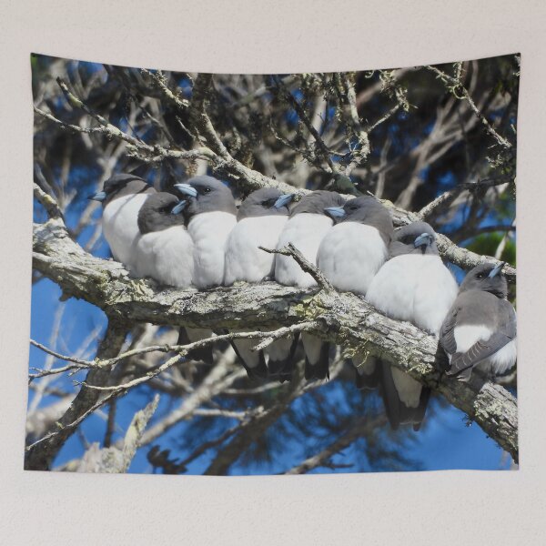 Item preview, White-Breasted Woodswollows friendly group photo designed and sold by Mark Grimsley.
