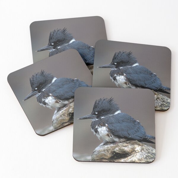 Item preview, Belted Kingfisher Photo designed and sold by TheAnimalZ00.