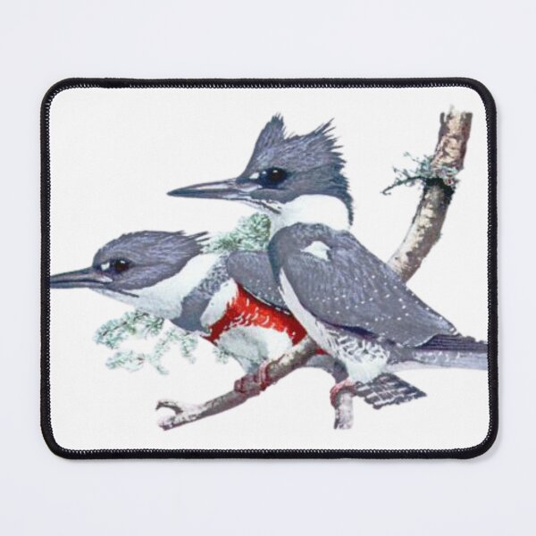 Item preview, Belted Kingfisher Birds designed and sold by TheAnimalZ00.