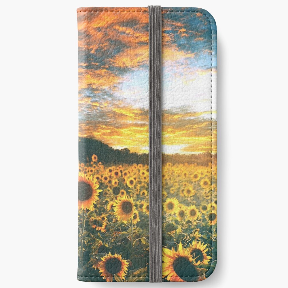 In a galaxy far, far away iPhone Wallet