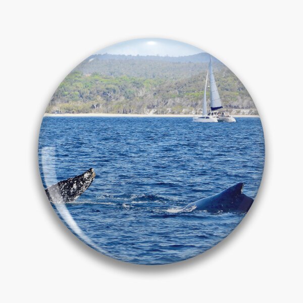 Item preview, Kgari (fraser Island) backdrop  whale watching  designed and sold by Mark Grimsley.