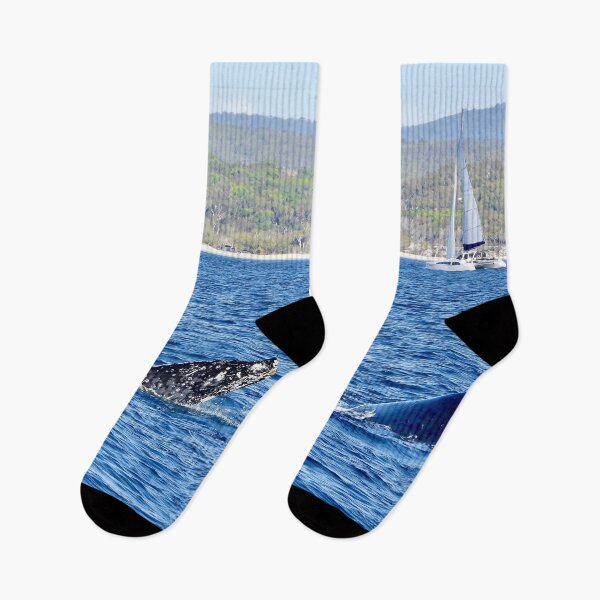 Item preview, Kgari (fraser Island) backdrop  whale watching  designed and sold by Mark Grimsley.