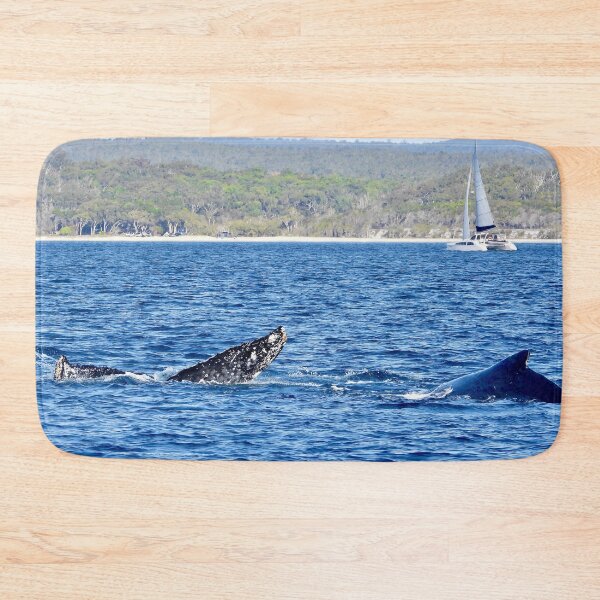 Item preview, Kgari (fraser Island) backdrop  whale watching  designed and sold by Mark Grimsley.