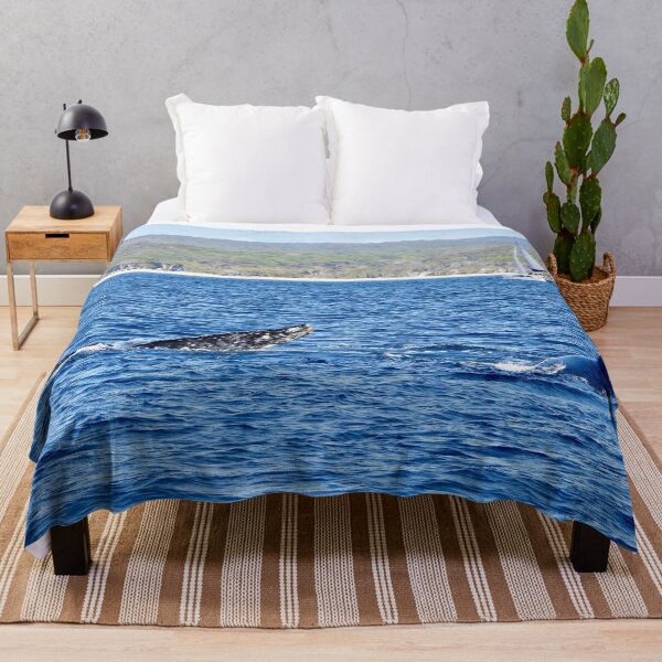 Item preview, Kgari (fraser Island) backdrop  whale watching  designed and sold by Mark Grimsley.