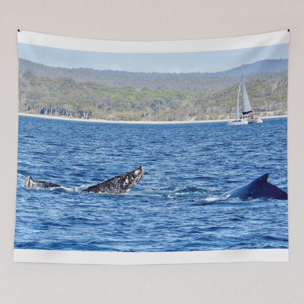 Item preview, Kgari (fraser Island) backdrop  whale watching  designed and sold by Mark Grimsley.