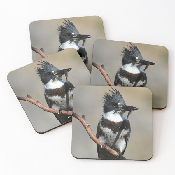 Item preview, Belted Kingfisher Photo designed and sold by TheAnimalZ00.
