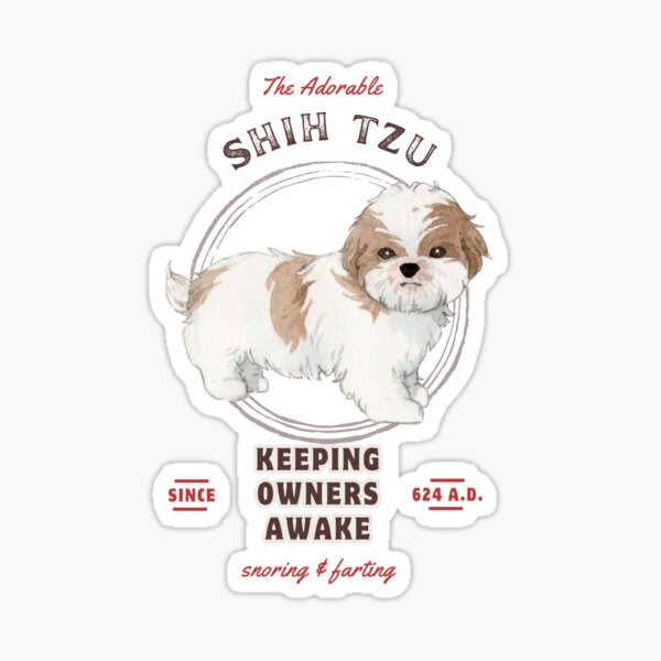 Womens Holy Shih Tzu Panties Funny Graphic Cool Saying Gift Dog Mom  Underwear 