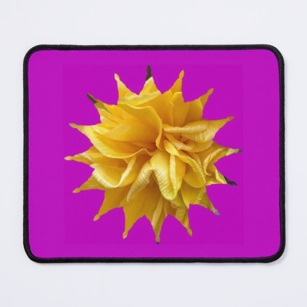 Item preview, Yellow Petals rose with Candy Pink trim by Iritof designed and sold by iritof.