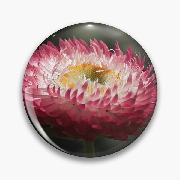Item preview, Paper Daisy designed and sold by Kim Chi Thai.