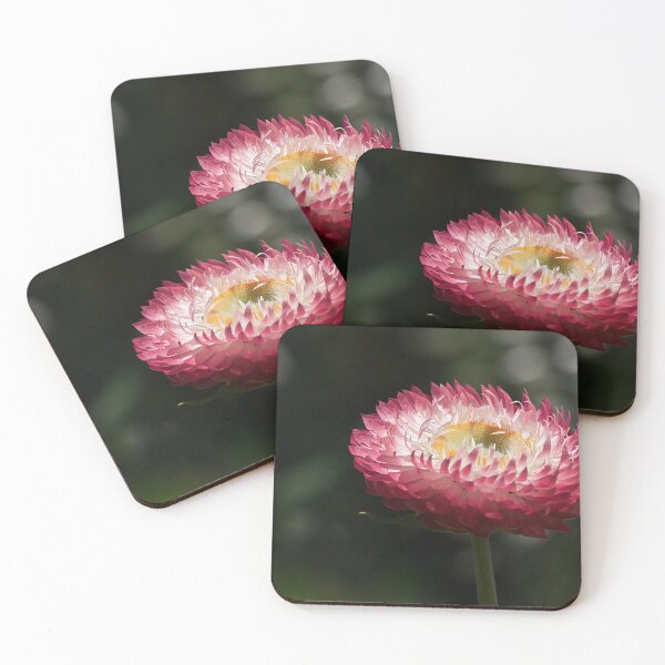 Item preview, Paper Daisy designed and sold by Kim Chi Thai.