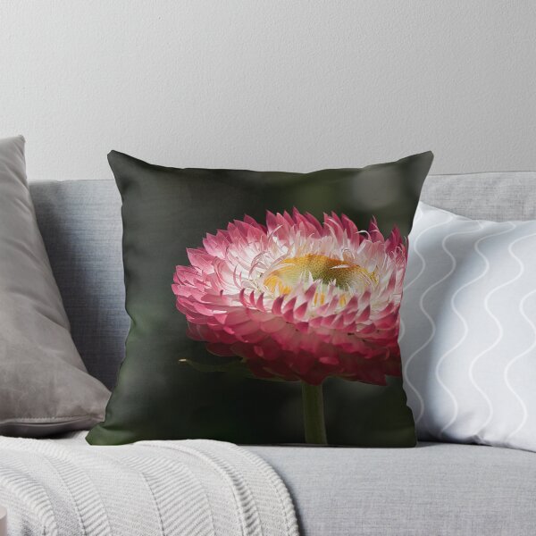 Item preview, Paper Daisy designed and sold by Kim Chi Thai.