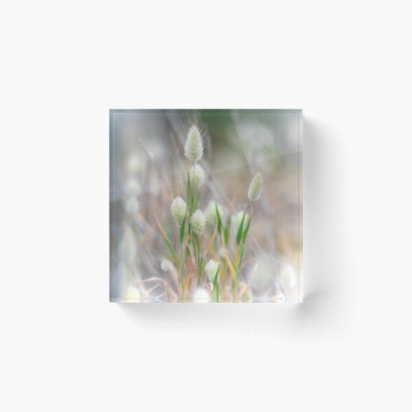 Item preview, Seaside Plants designed and sold by Greg Earl.