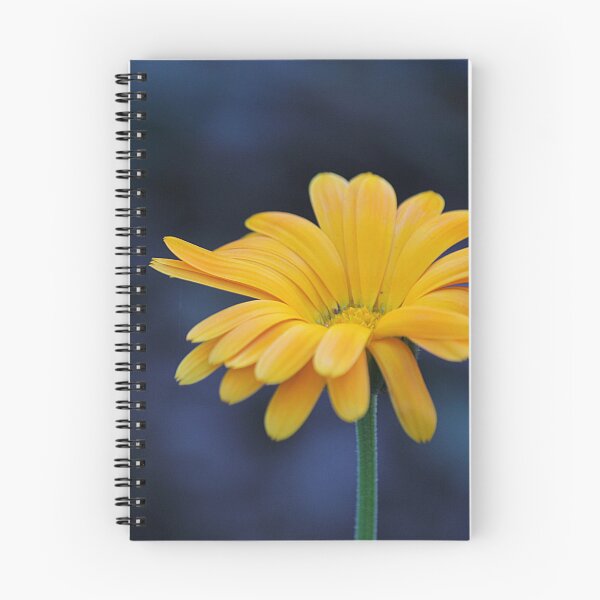 Item preview, Calendula Flower designed and sold by Kim Chi Thai.