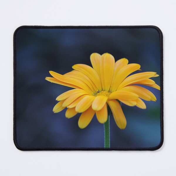 Item preview, Calendula Flower designed and sold by Kim Chi Thai.
