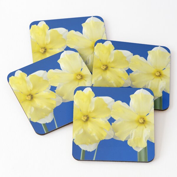 Item preview, Narcissus  'Cassata'  Daffodil  Division 11a Split-corona: Collar  designed and sold by Chris Burrows.