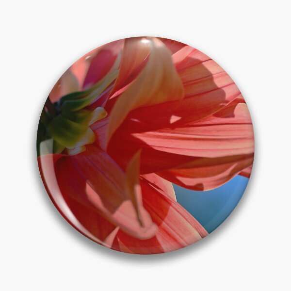 Item preview, Dahlia From Behind designed and sold by Tdcc2000.
