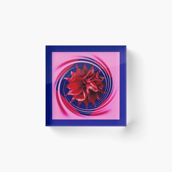 Item preview, Red Rose flower with navy pink trim by Iritof designed and sold by iritof.