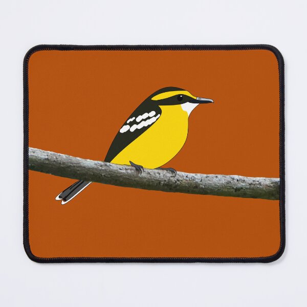 Item preview, Yellow-breasted Boatbill in burnt orange designed and sold by CairnsBirders.