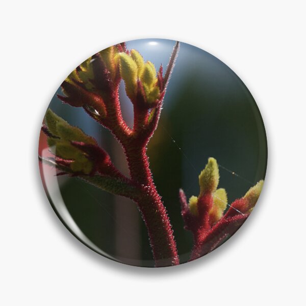 Item preview, Kangaroo Paw Flower designed and sold by Kim Chi Thai.