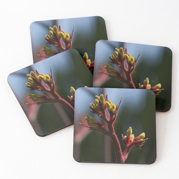 Item preview, Kangaroo Paw Flower designed and sold by Kim Chi Thai.