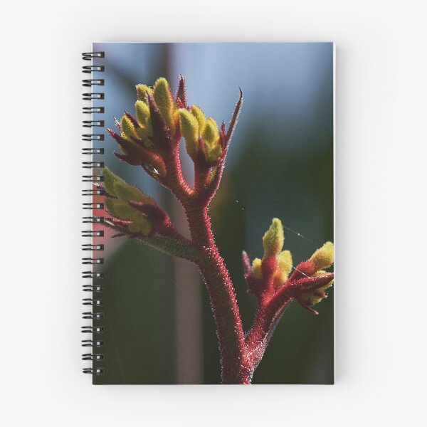Item preview, Kangaroo Paw Flower designed and sold by Kim Chi Thai.