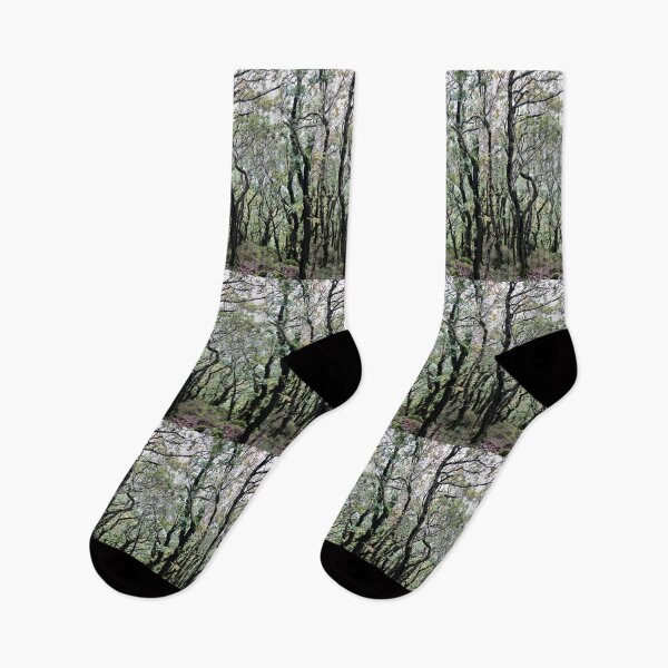 Item preview, woodland designed and sold by KathleenDawson.