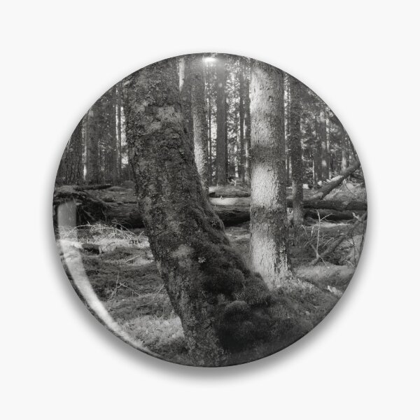 Item preview, Moss wins all in the end bw designed and sold by Jouko Lehto Photography.