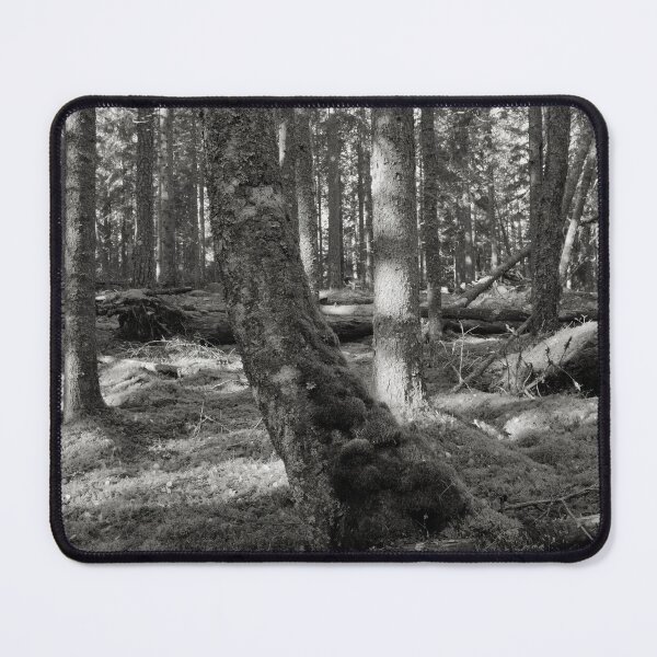 Item preview, Moss wins all in the end bw designed and sold by Jouko Lehto Photography.