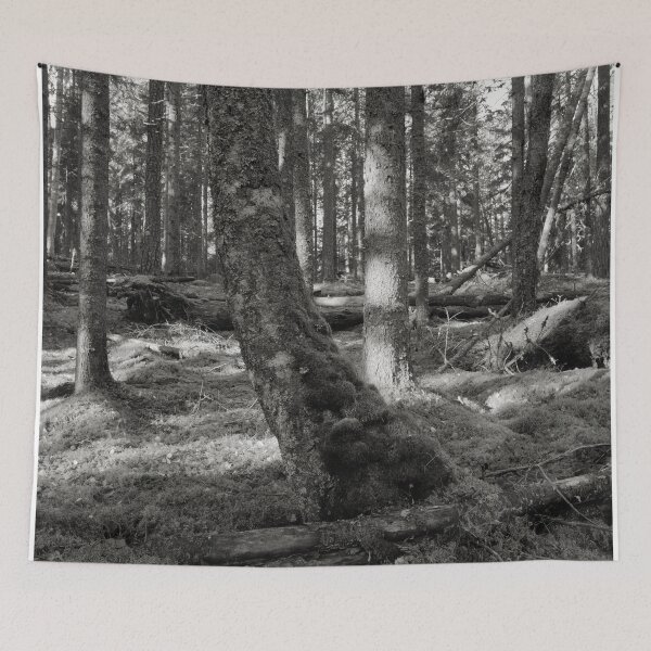 Item preview, Moss wins all in the end bw designed and sold by Jouko Lehto Photography.