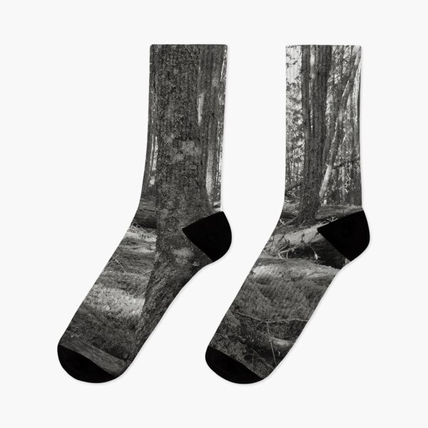 Item preview, Moss wins all in the end bw designed and sold by Jouko Lehto Photography.