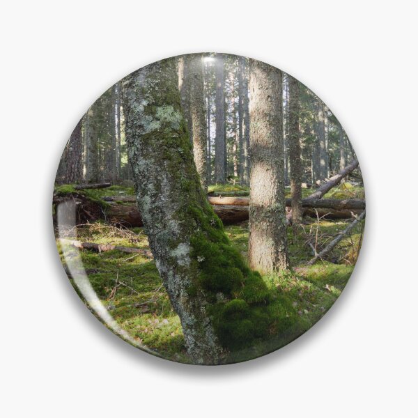 Item preview, Moss wins all in the end designed and sold by Jouko Lehto Photography.