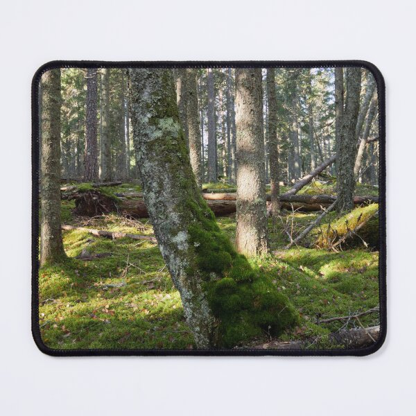 Item preview, Moss wins all in the end designed and sold by Jouko Lehto Photography.