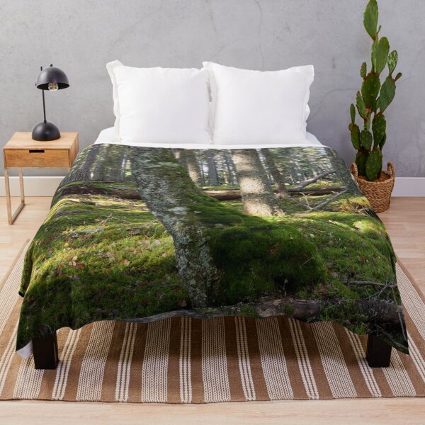 Item preview, Moss wins all in the end designed and sold by Jouko Lehto Photography.