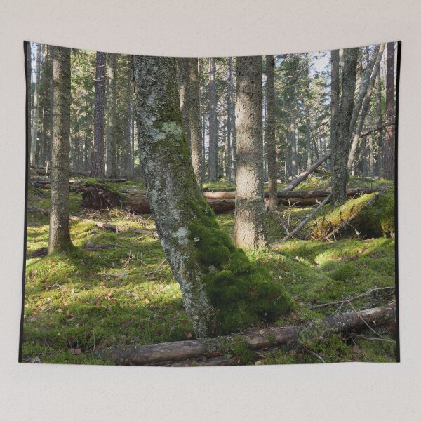 Item preview, Moss wins all in the end designed and sold by Jouko Lehto Photography.