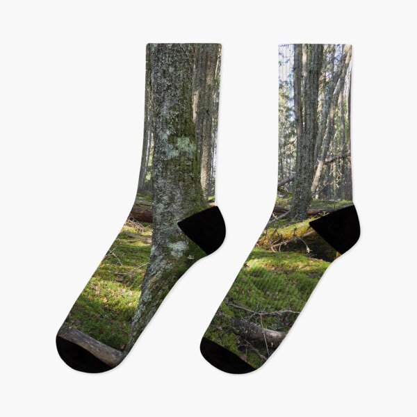Item preview, Moss wins all in the end designed and sold by Jouko Lehto Photography.