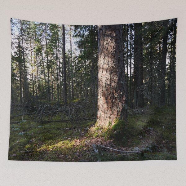 Item preview, The Great Old Pine designed and sold by Jouko Lehto Photography.