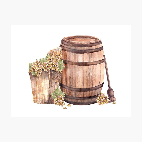 Item preview, Wine barrel with wicker basket, crusher, leaves, grapes harvest. Watercolor hand draw illustration  designed and sold by BartolArt.