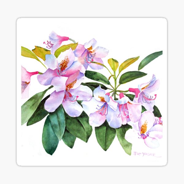 Spring Rhody Watercolor Sticker