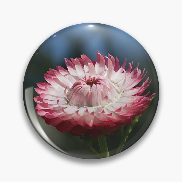 Item preview, Paper Daisy designed and sold by Kim Chi Thai.