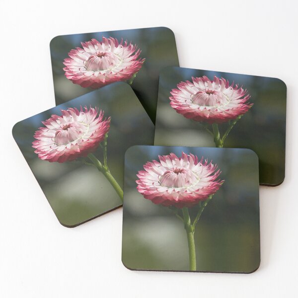 Item preview, Paper Daisy designed and sold by Kim Chi Thai.