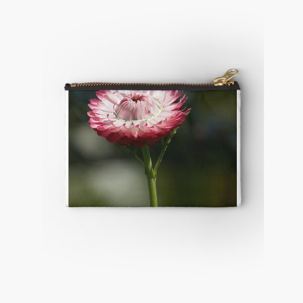 Item preview, Paper Daisy designed and sold by Kim Chi Thai.