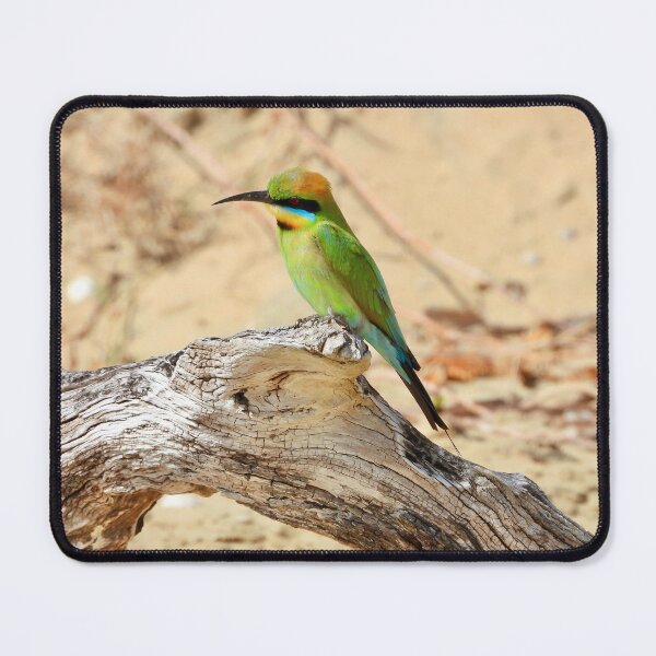 Item preview, Rainbow bee-eater resting on the beach designed and sold by Mark Grimsley.
