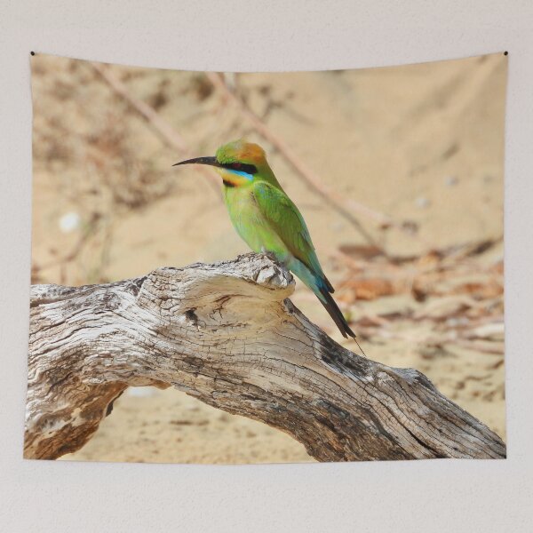 Item preview, Rainbow bee-eater resting on the beach designed and sold by Mark Grimsley.