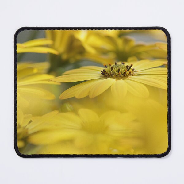 Item preview, Daisy designed and sold by Kim Chi Thai.