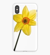 Narcissus iPhone Case/Skin