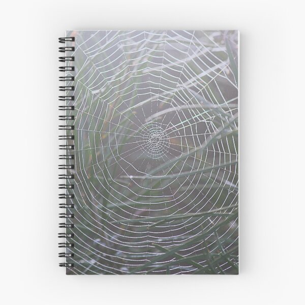 Item preview, Spider Net designed and sold by Kim Chi Thai.