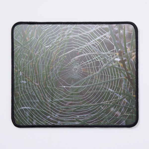 Item preview, Spider Net designed and sold by Kim Chi Thai.