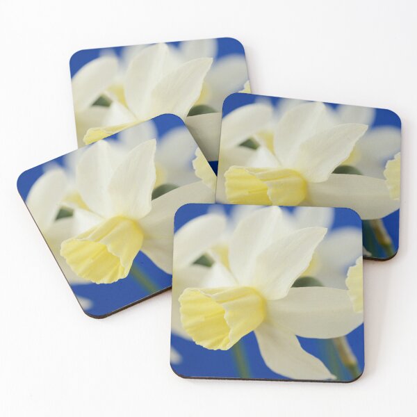 Item preview, Narcissus  'Sailboat'   AGM    Division 7 Jonquilla  Daffodil designed and sold by Chris Burrows.