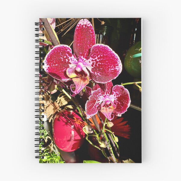 Item preview, Bold Orchid designed and sold by BreeFarinaPhoto.