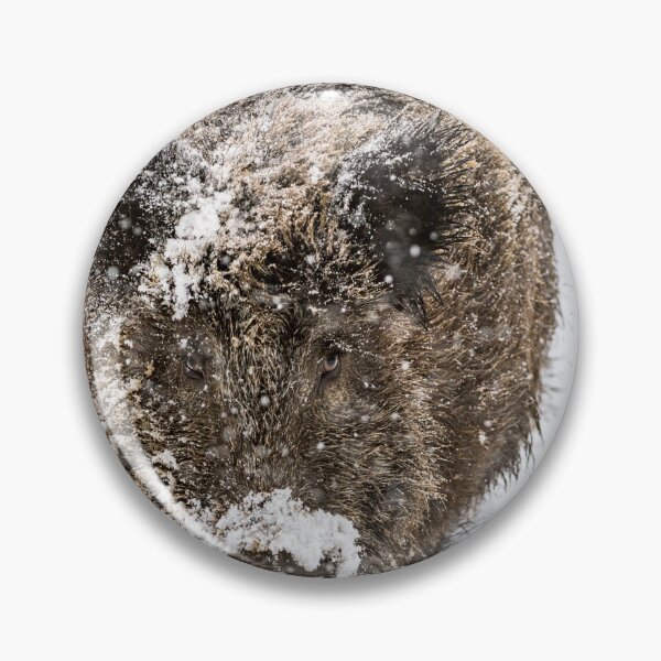 Item preview, Wild boar in deep snow designed and sold by Ingo Gerlach.